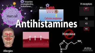 Histamine and Antihistamines Pharmacology Animation [upl. by Artemas]