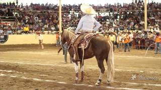 Caladero abierto y futurity en el Campeonato Millonario 2013 [upl. by Yelkao]