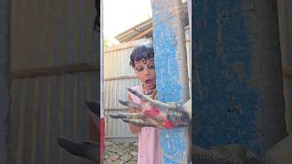 Bhoot Ka Hath funny comedy bhoot cartoon tiktokvideo funnyshorts [upl. by Gombosi]