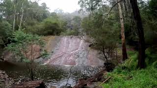 Walking Maroondah Reserve Healesville Victoria Australia [upl. by Ubald891]