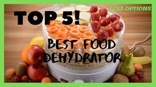 5 Best Dehydrator [upl. by Ticon]