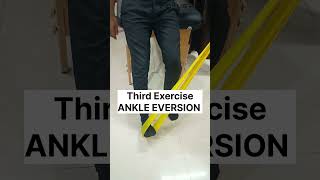 4 Best Ankle Strengthening Exercises  Ankle Sprain Exercises  ankleexercises [upl. by Nanis]