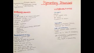 pigmentary disorders  vitiligo albinism chloasma melasma [upl. by Kellia]