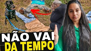 URGENTE MILHÕES DE PESSOAS VAI DESAPARECER vai parar tudo [upl. by Avlis641]