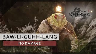 Black Myth Wukong Chapter 1  BawLiGuhhLang Boss Fight No Damage [upl. by Pineda]