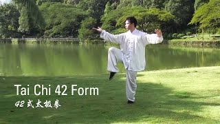 Tai Chi 42 Form 42式太极拳 [upl. by Ayotac]