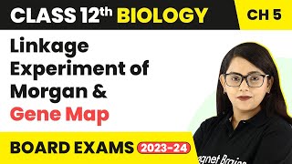 Class 12 Biology Ch 5 Linkage Experiment of Morgan amp Gene MapPrinciples of Inheritance amp Variation [upl. by Dett]