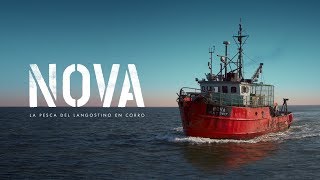 NOVA  La pesca del langostino en corro [upl. by Devinne]