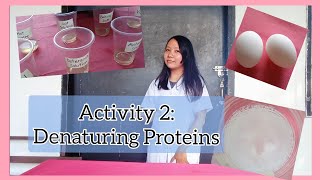 Activity 2 Denaturing Proteins Biochemistry DenaturingProteins [upl. by Arata194]