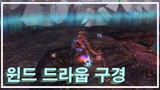 윈드 드라웁니르 동굴 가보다 보스 렙 50  51 변경 템 나올까  아이온 클래식 AION의리 [upl. by Lionel346]