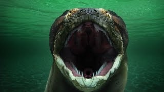 Titanoboa Monster Snake Full Episode [upl. by Ivey]