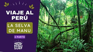 VIAJE A LA SELVA DEL MANU segunda parte [upl. by Elehcar]