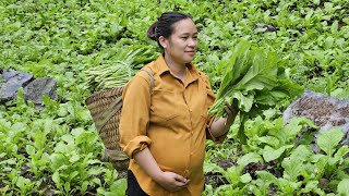 Harvest Green Vegetables Goes To Market Sell  Cooking  Garden  Ly Thi Ca [upl. by Gibeon]