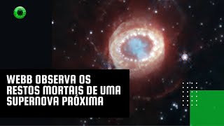 Webb observa os restos mortais de uma supernova próxima [upl. by Wooldridge]