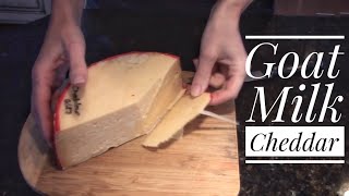 Goat Milk Cheddar  Cheesemaking at Home [upl. by Wallack]