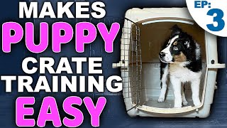 Picking The PERFECT Puppy Crate Training Location [upl. by Lav]