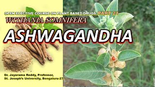 Ashwagandha Part 21 Withania somnifera Plant Based Drugs St Josephs University Aphrodisiac [upl. by Eihtur]