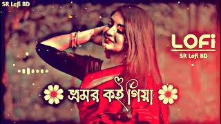 ভ্রমর কইও গিয়া 🥀 Bhromor Koio Giya SlowedReverb Lofi Song [upl. by Ahsercul]