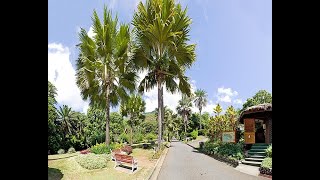 SEYCHELLES NATIONAL BOTANICAL GARDEN [upl. by Sallee319]