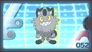 Alolan Meowth Pokédex Entry  Just A Scones Throw From Here [upl. by Klepac168]