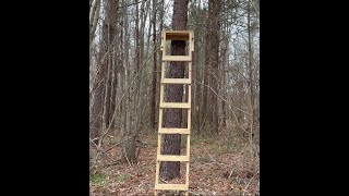 Wooden Ladder Tree Stand [upl. by Eelano]