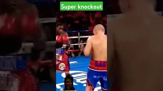 Gavin Rees vs adrein broner KNOCKOUT fight shortvideo boxing knockout highlightquots [upl. by Einwat293]