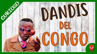 ¿Quiénes son los Dandis del Congo CURIOSO [upl. by Moreen]