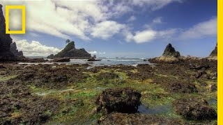 Olympic National Park  America’s National Parks [upl. by Millman]