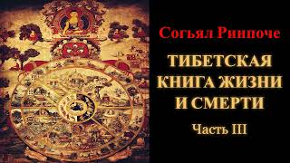 Согьял Ринпоче Тибетская книга жизни и смерти Часть 3 [upl. by Christa]