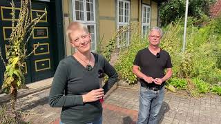 Live von Pias Bienenstand  26072024  Besuch in Celle [upl. by Stevens346]