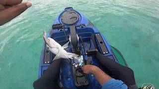 Ep4Early morning trolling in clear water  Fishing in Mauritius [upl. by Esiuqram]