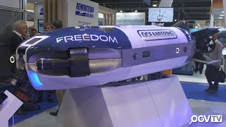 Offshore Europe 2019  OCEANEERING showcase quotFreedomquot their new autonomous ROV [upl. by Gwyn]