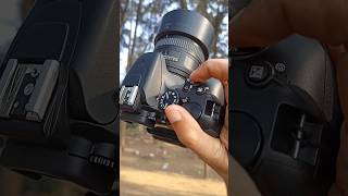 Nikon Camera Burst speed shorts [upl. by Nhabois739]