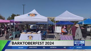 Paws4theCause hosts Barktoberfest 2024 in Lexington [upl. by Ahsaercal697]