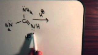 Organic Chemistry Video  17 Resonance  Example 13 Guanidine [upl. by Jezabel]