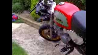 Jincheng JC50 Custom Monkeybike Monkey Bike UK YX150cc YX 150 [upl. by Baelbeer]