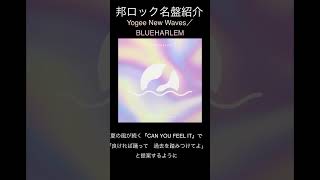 【邦ロック名盤紹介】Yogee New Waves／BLUEHARLEM 邦ロック YogeeNewWaves [upl. by Zapot]