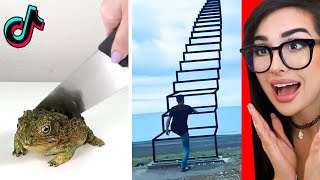 Most Creative People On Tik Tok [upl. by Colin624]