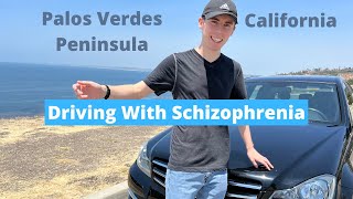 Safe Driving with Schizophrenia [upl. by Eilrahc]