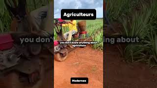 Dans quel type de ferme agricole investir aujourd’hui au pays Invest Agriculture Africa [upl. by Lethia]