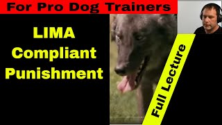 Conditioned Punishers in Dog Training K91com [upl. by Ynoep]