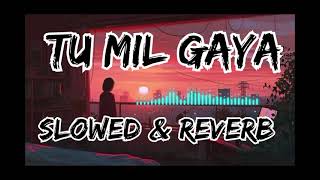 TU MIL GAYA Song Lofi Version  JUBIN NAUTIYALTULSI KUMAR  SRIKANTH Slowed and ReverbSlowed [upl. by Dino]