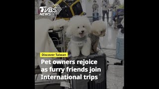 Travel abroad with pets now possible at Taiwan Taoyuan Airport [upl. by Fayola175]