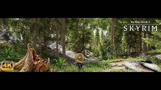 4K SKYRIM SE Ultra Modded Gameplay with Ulvenwald Forests Mod [upl. by Cele]