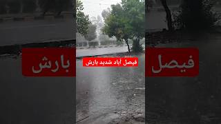 Faisalabad Weather Today Torrential Rain [upl. by Aseen996]