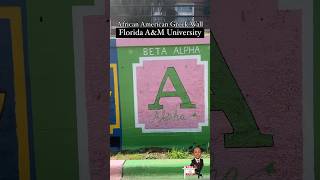 Importance of Greek Fraternities and Sororities  Legacy amp Lifelong Connections  Divine Nine amp NPHC [upl. by Segalman]