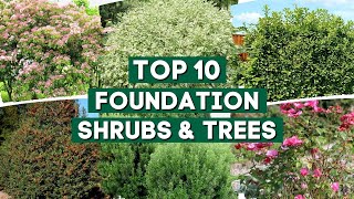 10 Shrubs amp Trees You Can Plant Close to The House 🌲🌳  Foundation Plants 👍👌 [upl. by Nodanrb]