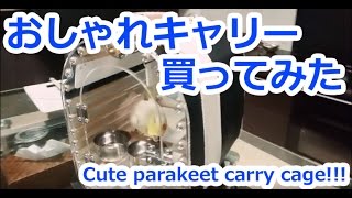 おしゃれインコキャリーを買ってみた件。その1Cute parakeet carry cage quotLITTLE BUDDYquot [upl. by Katzen]