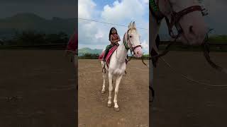 Dhruvi Horse 🐎 Riding  horse horses ghoda horseriding horselover ytvideo shortsfeed dhruhi [upl. by Andonis849]