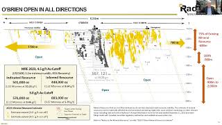 Radisson Mining CEO Matt Manson Discusses Latest Corporate Developments [upl. by Bonn412]